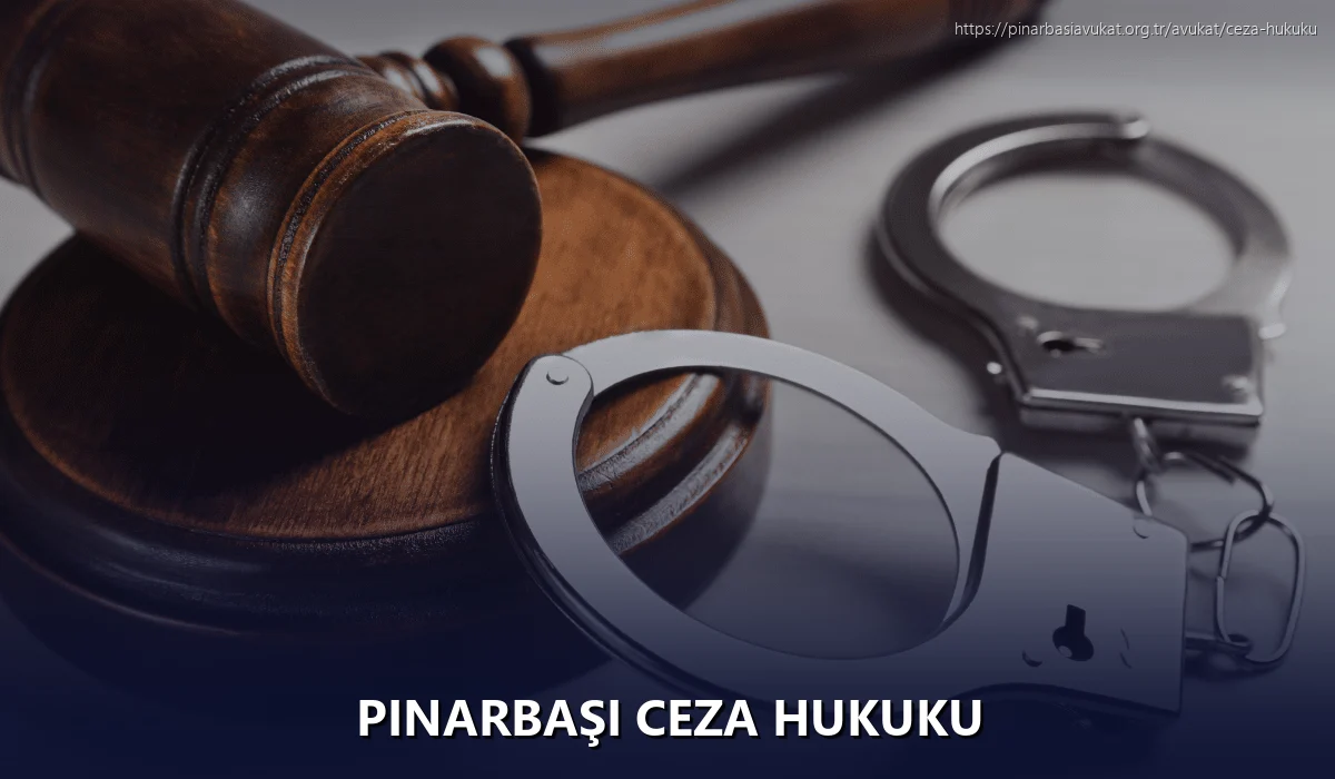 Pınarbaşı Ceza Hukuku